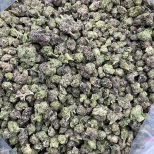 Cereal Milk