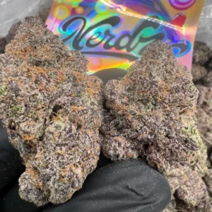INDOOR NERDZ