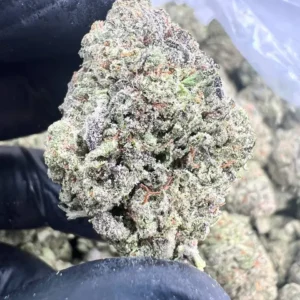 INDOOR BLACK GORILLA GAS