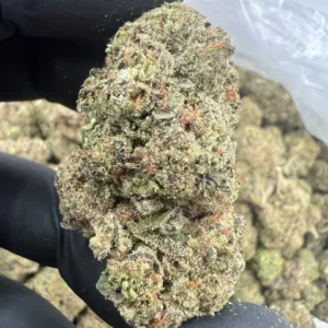 INDOOR ORIGINAL HEADBAND KUSH