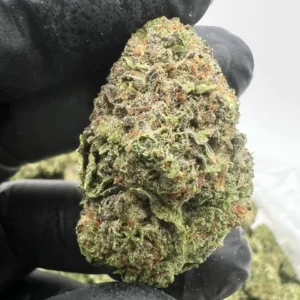 G47