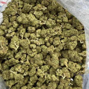 Tahoe OG