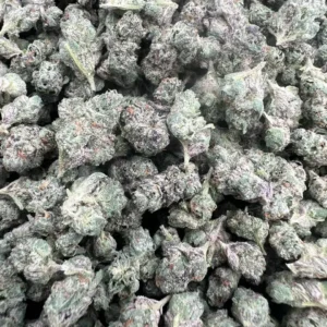 INDOOR BLUE JEALOUSY SMALLS